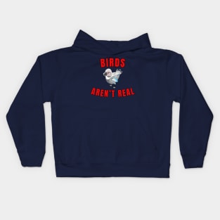 Birds Aren't Real Kids Hoodie